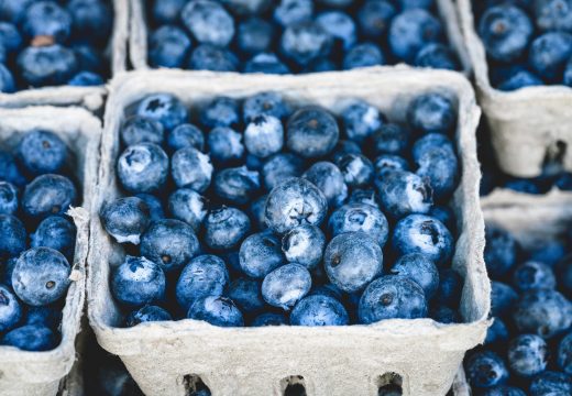 Berba borovnice kasni, cijena 20 KM za kilogram