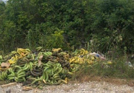 Pobacane banane u Širokom Brijegu: Jesu li ovo one u kojima je pronađen kokain