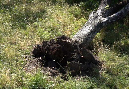 Bijeljinu pogodila orkanska oluja, u petak moguće novo nevrijeme