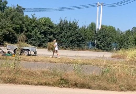 Došao iz Belgije, pa kosio travu oko GP Rača (VIDEO)