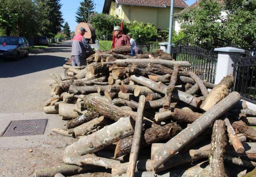 Skuplja nabavka, rezanje i cijepanje ogrevnog drveta