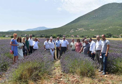 Održan 3. po redu Dan organske proizvodnje Srpske