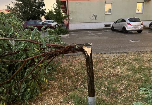 Snažno nevrijeme u Bijeljini: Vjetar čupao drveće (Foto)