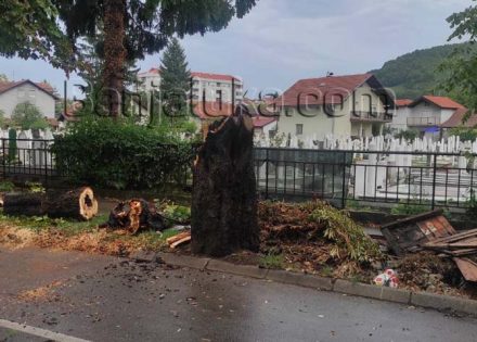 Zagreb srušena stabla poklanja građanima za grijanje