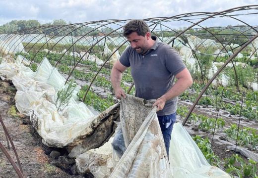 Pomozite jedni drugima i ovo ćemo zajedno preživjeti