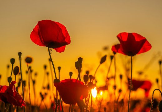 Danas sunčano i toplije, temperatura do 35 stepeni