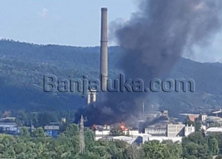 Vatra guta Fabriku papira Celeks (Foto, Video)