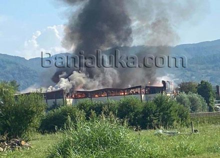 Pet vozila Vatrogasaca bori se sa stihijom u Celexu