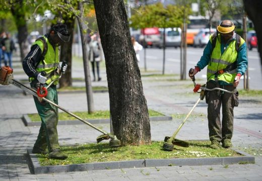 Vrijeme je za preventivnu zaštitu od ambrozije i njenog polena