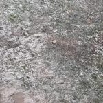 Olujno nevrijeme zahvatilo i Ugljevik (FOTO)