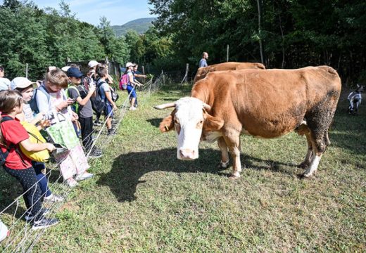 Učenici banjalučke OŠ “Jovan Cvijić” obišli organsku farmu