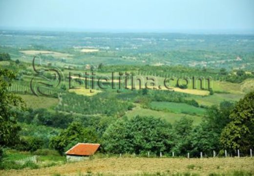 Hoće li se vaditi litijum vrijedan milijarde samo 40 km od Bijeljine?