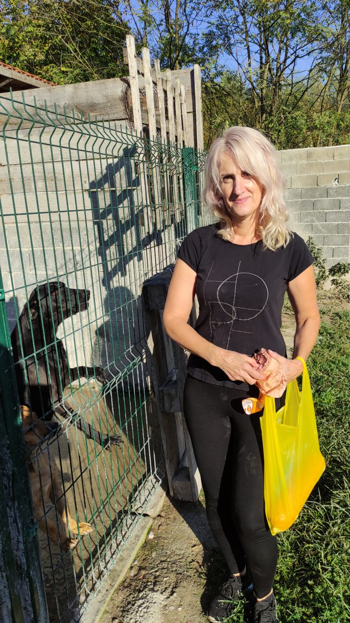 bijeljina__udru__enja_medo_i_aska_trenutno_brinu_o_vi__e_od_120_pasa_i_ma__aka__svaka_pomo___dobrodo__la__foto_172.jpeg