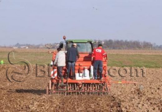 Nema dovoljno vlage: Nedostatak padavina usporio sjetvu pšenice u Semberiji