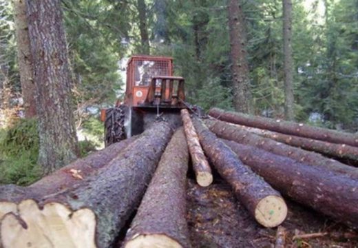 Bez prateće dokumentacije!:  Policija zaplijenila više od 17 kubnih metara šume
