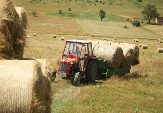 Statističari pozivaju na saradnju: U decembru počinje anketno istraživanje poljoprivrednih gazdinstava u Srpskoj
