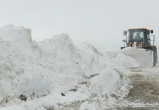 Srbiju paralisao snijeg: Vanredna situacija u pet opština