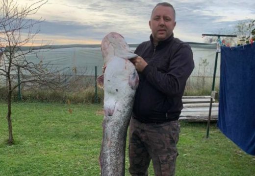 Borba sa ribom trajala 45 minuta: Kovačević ulovio soma od 25 kilograma