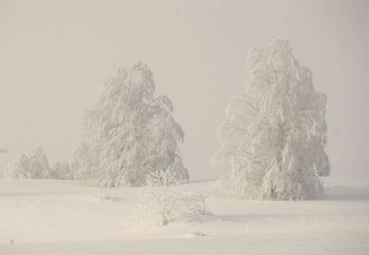 “Agregati rade, snalazimo se” Snijeg napravio haos, đaci iz Srbije i Srpske zavijani u dječjem odmaralištu