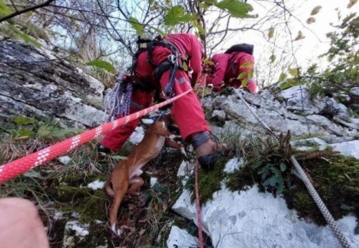 Nesvakidašnja intervencija: Članovi “Kondora” spasili zalutalog lovačkog psa sa visoke litice (Foto)