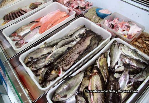 Povećan izvoz ribe: Domaća riba sve češće na stranoj trpezi