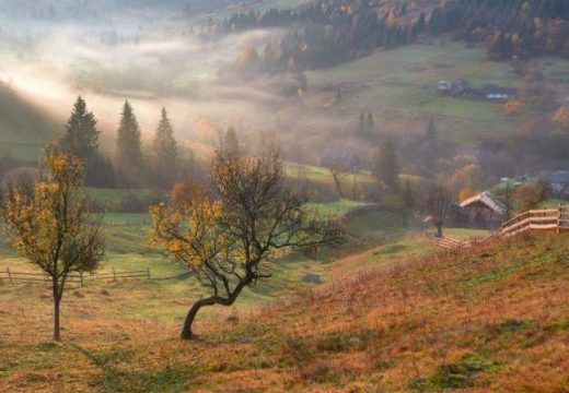 Šta jesen donosi poljoprivrednicima u Srpskoj: Uz kišu, stižu i poljski miševi i biljne štetočine
