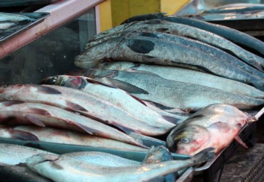 Sve zavisi od dubine džepa: Riba skuplja i do 10 odsto, a potražnja povećana