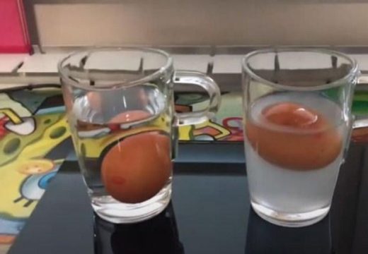 Nataša Đukić otkriva: Еvo kako da prepoznate pokvareno jaje