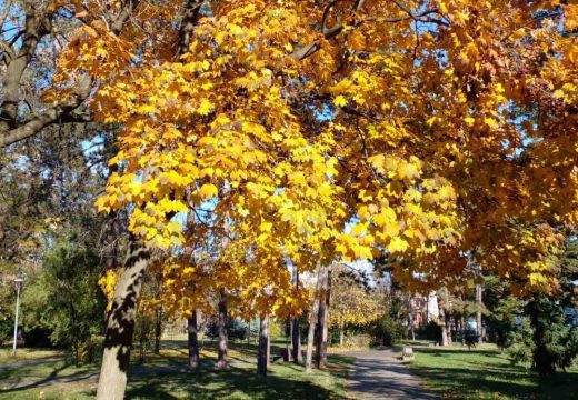 Temperatura do 17 stepeni: I danas toplo, sa sunčanim periodima