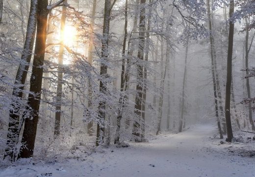 Prognoza:U četvrtak sunčano uz blagi porast temperature