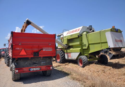 Već isplaćeno 400.000 KM: Počela isplata subvencije od 10 pfeniga za pšenicu u Semberiji