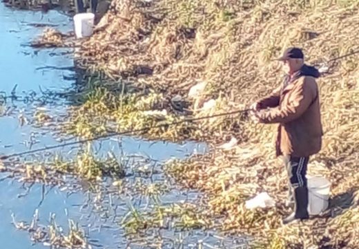 Bijeljina: Penzioneri ribolovci koriste sunčane januarske dane