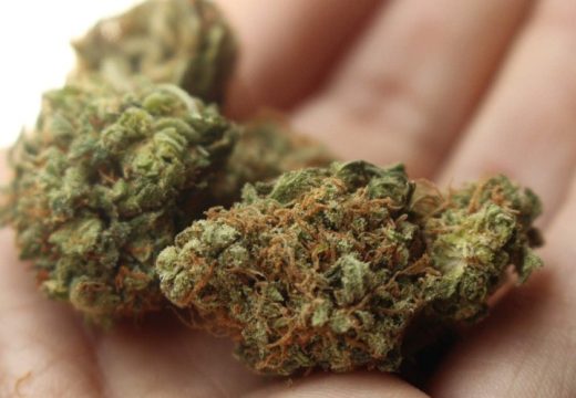 Na javnim mjestima dozvoljeno je posjedovanje 25 grama: Njemačka legalizuje marihuanu
