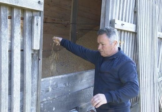 Zekići iz okoline Lopara žive od poljoprivrede: Žele da im i djeca odrastaju u zdravom okruženju (Foto)