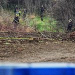 Srbija: Postoje tri pravca istrage o nestaloj Danki, a jedan se odnosi na majku