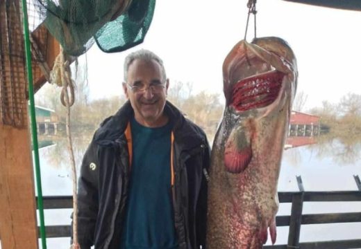 Ribolov: Upecao soma teškog 39 kilograma na Bardači kod Srpca (Foto)