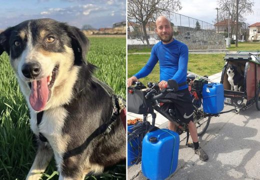 Nestvarna priča: Francuz prošle godine izgubio psa u Grčkoj, sad ga našao kod granice sa BiH