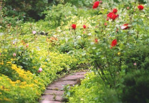“April – mjesec čistoće”: Bijeljina bira najljepše uređeno dvorište