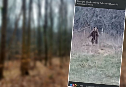 Ajde ruča moj medo: Čovjek iz sela u BiH sprijateljio se s medvjedom (Video)