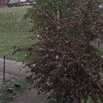 Stiže zahlađenje: Snijeg pada u Sloveniji i Hrvatskoj (Video)