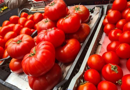 Počela je sezona paradajza: Sadrži moćne vitamine i minerale, ali za pojedine može biti štetan