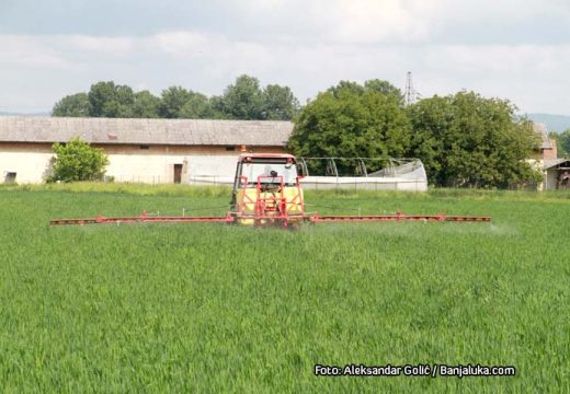 Postavljeni ogledi: Zadovoljavajuće stanje ozimih usjeva (Video)