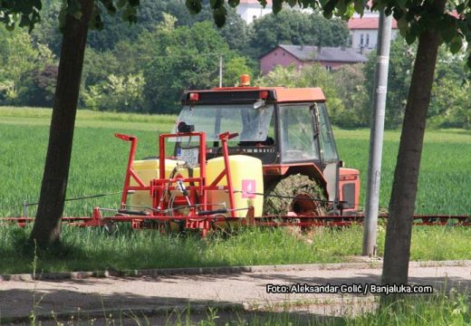 Premije za strna žita i suncokret: Isplaćeno 429.026 KM za podsticaje u poljoprivredi