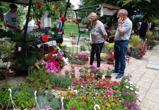 Vaša sukulencija: Drugi dan Sajma cvijeća u Bijeljini (Foto)