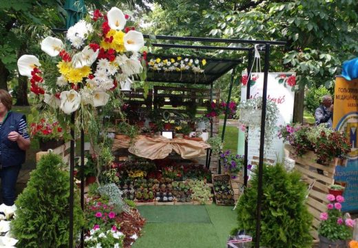 Bijeljina:  Četvrti sajam cvijeća 25. i 26. maja u Gradskom parku