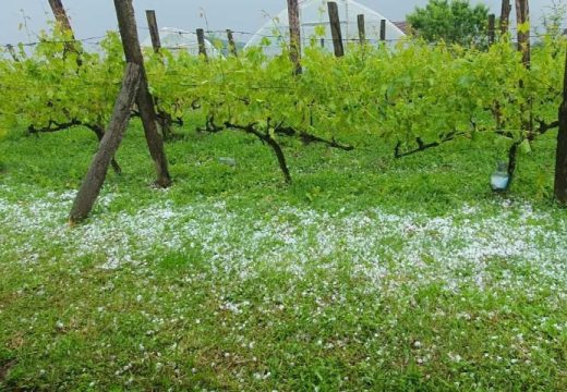 Nevrijeme u Srebrenici: Grad obrao maline