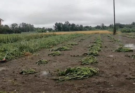 Olujno nevrijeme poharalo Lijevče: “Naglo se smračilo. Nastupila je totalna noć.” (Foto/Video)