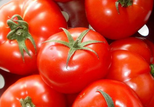 Način skladištenja je veoma bitan: Kako da vam paradajz duže traje
