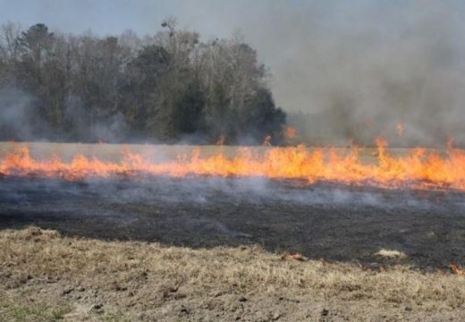Semberija: Zabranjeno spaljivanje žetvenih ostataka