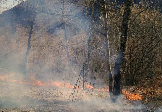 Gračka: Vatrogasci se bore sa požarima